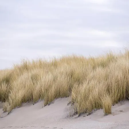 Domein 15 De Haan Nieuwmunster, 4-bedroom House For Up To 6 People, Between Wenduine, 1 Km, And De Haan, 2 Km, 500 Meters From The Beach,15 Min From Bruges, Ostend And Knokke, Fenced Garden, Bed Linen And Towels Provided, Pet Allowed, On Dema Hébergement de vacances Zuienkerke