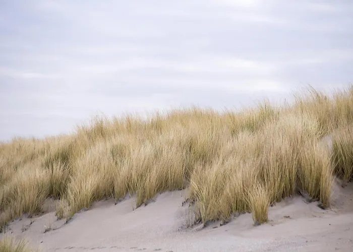 Domein 15 De Haan Nieuwmunster, 4-bedroom House For Up To 6 People, Between Wenduine, 1 Km, And De Haan, 2 Km, 500 Meters From The Beach,15 Min From Bruges, Ostend And Knokke, Fenced Garden, Bed Linen And Towels Provided, Pet Allowed, On Dema بيت للعطل Zuienkerke